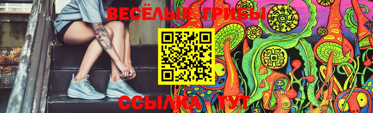 Псилоцибиновые грибы Magic Shrooms Елец